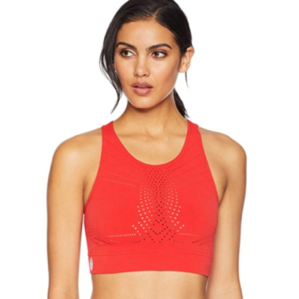 FP Movement Ecology Top!